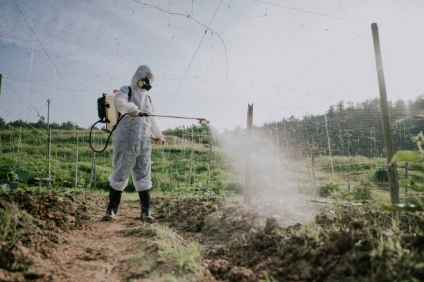 Best Pest Control Cost  in Orion, IL