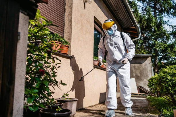 Best Spider Control Near Me  in Orion, IL