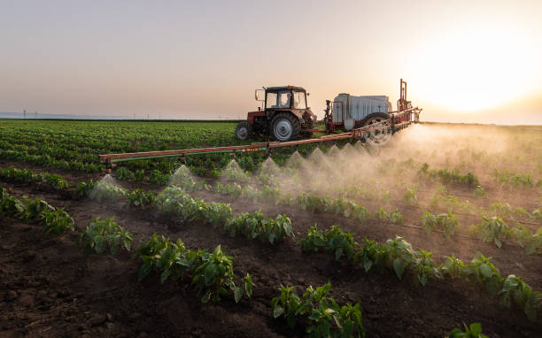 Best Insect Control  in Orion, IL
