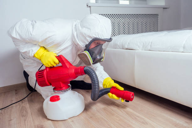 Trusted Orion, IL Pest Control Experts