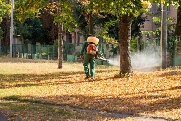 Best Bed Bug Extermination  in Orion, IL