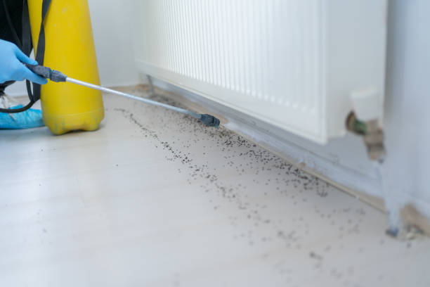 Best Pest Inspection Near Me  in Orion, IL