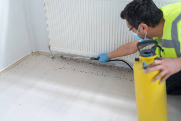 Pest Prevention Services in Orion, IL