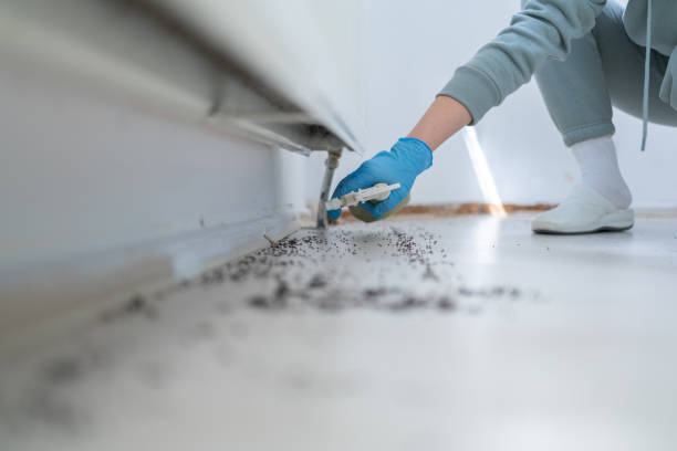 Best Cockroach Control Services  in Orion, IL