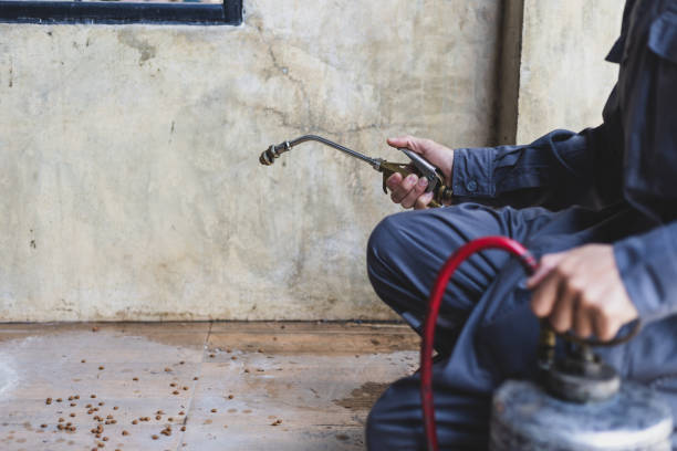 Best Pest Control Near Me in Orion, IL